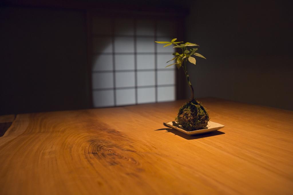 Ryokan Mokuzin Hakuba Exteriér fotografie