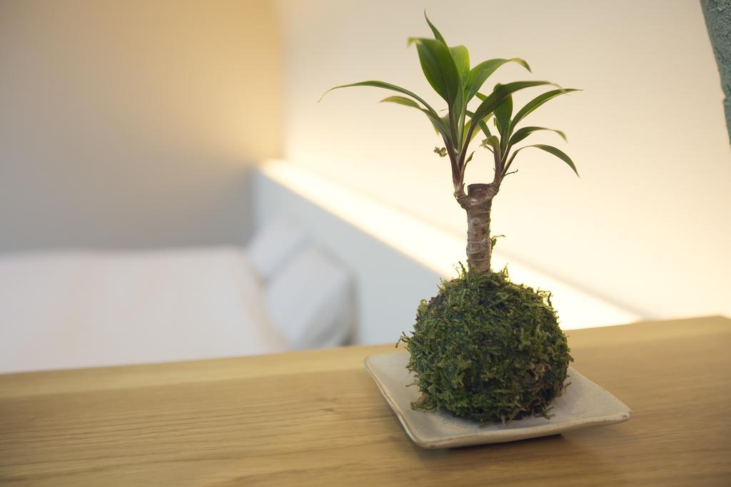 Ryokan Mokuzin Hakuba Pokoj fotografie